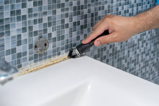 Best Office Mold Removal Services  in Springboro, OH