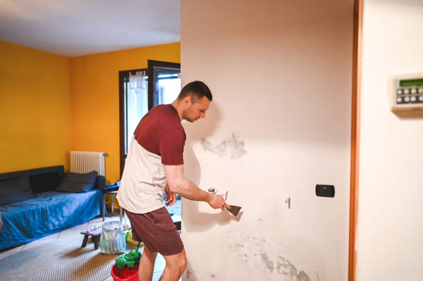 Best Toxic Mold Removal  in Springboro, OH